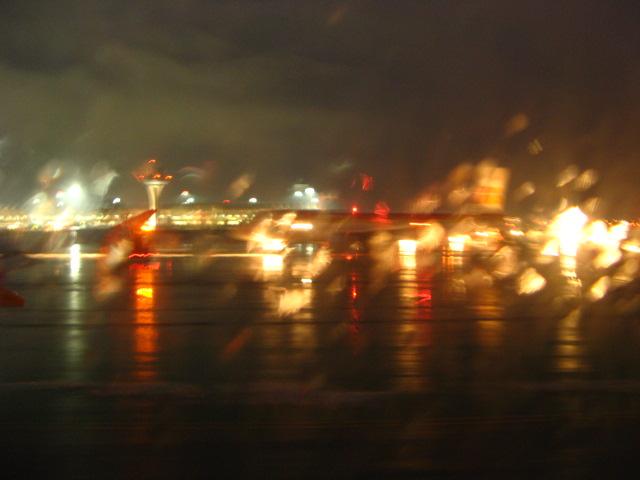 IMG_3445.jpg
